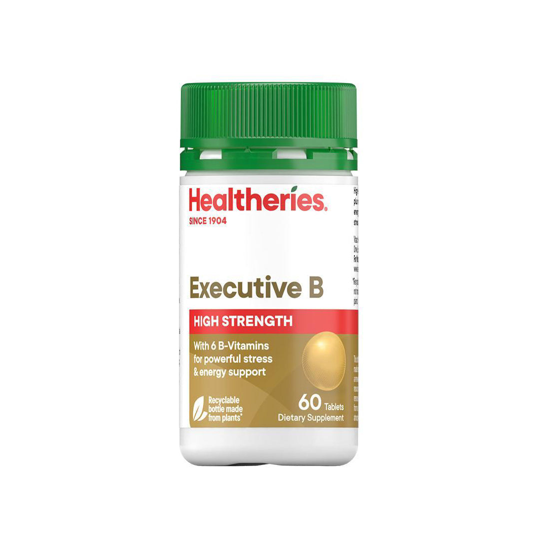 Healtheries Executive B 60T